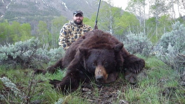 Spring Black Bear Hunt