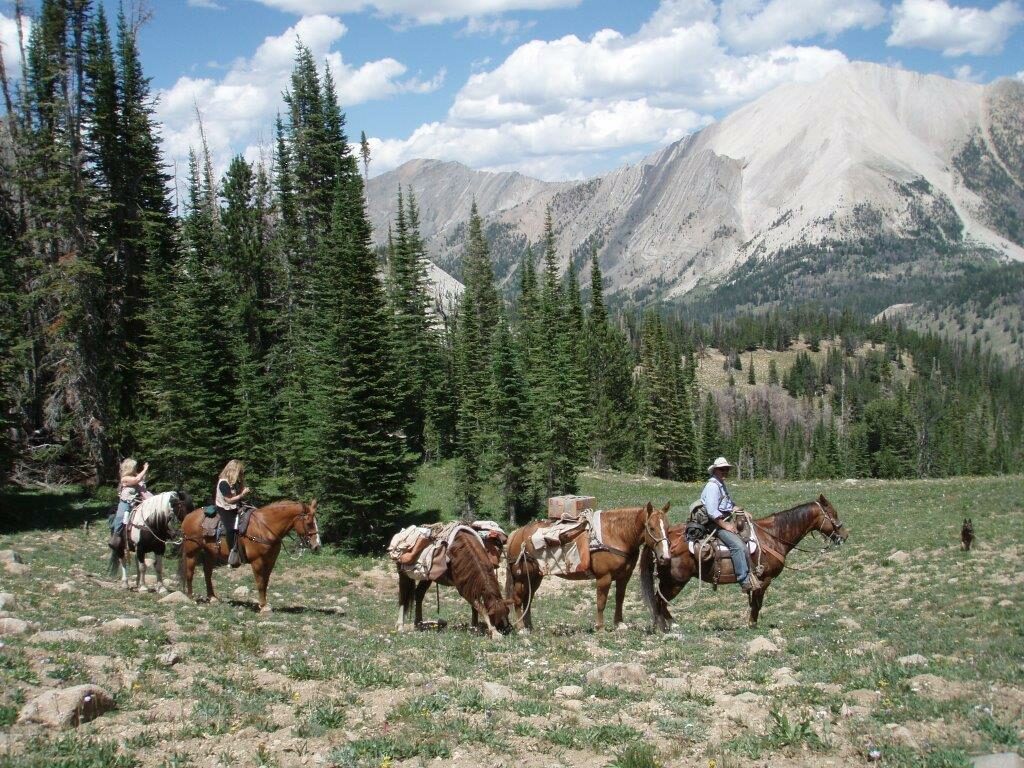 Challis Valley Horse Rides